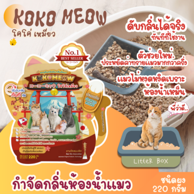 กัปตัน โคโค่เหมียว