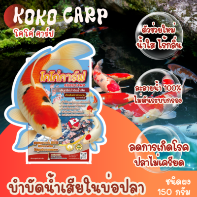 จุลินทรีย์บำบัดน้ำบ่อปลา KOKOCARP