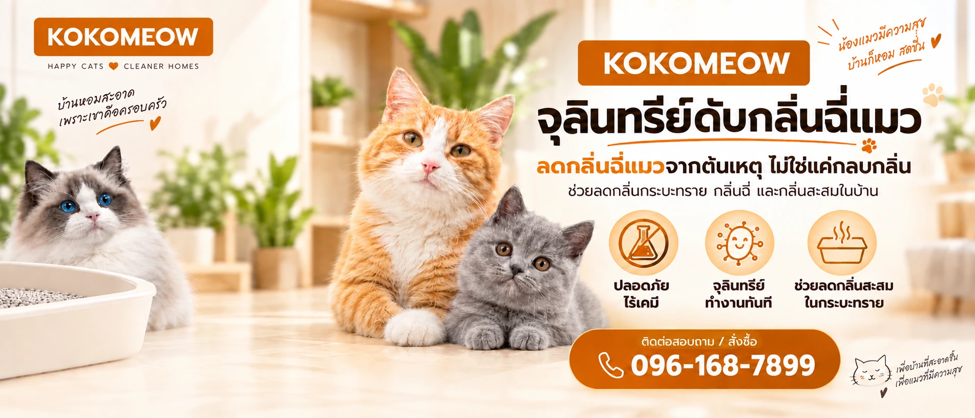 แมวสามตัวและกระบะทรายในบ้านโทนอุ่น แบรนด์ KOKOMEOW — Happy cats, cleaner homes