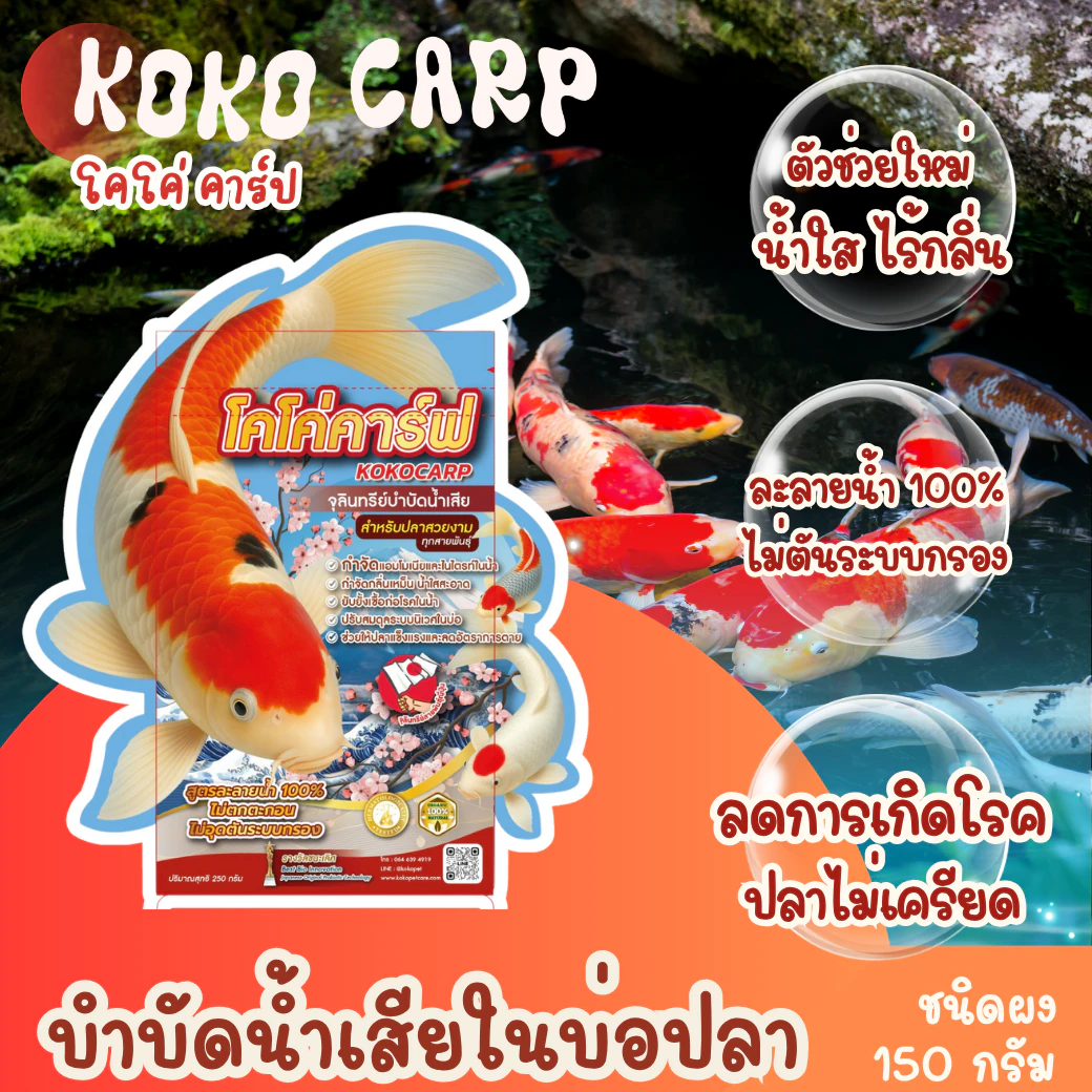 โคโค่ คาร์ป จุลินทรีย์บำบัดน้ำบ่อปลา
